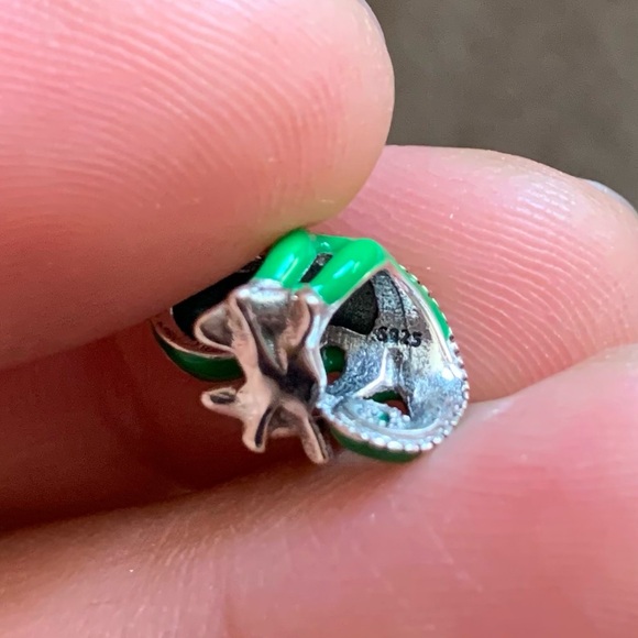 NWOT Tangled Pascal Color Changing Charm Sterling Silver 925 - Picture 6 of 6